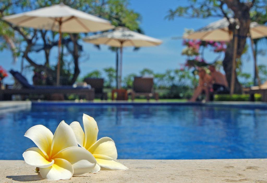 Frangipani Lovina