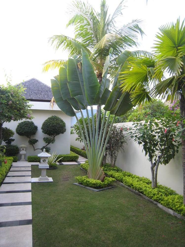 Gasthuis Frangipani 3*